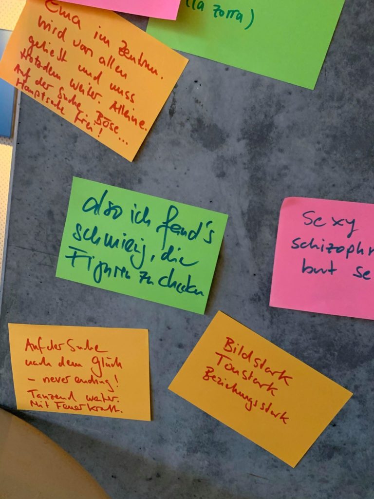 ema-y-gaston-vorpremiere-zuerich-trigon-film-kosmos